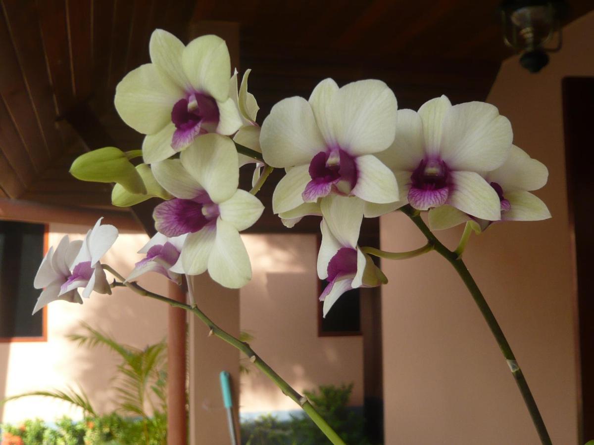 The Pace Phuket Boutique Resort Rawai Экстерьер фото